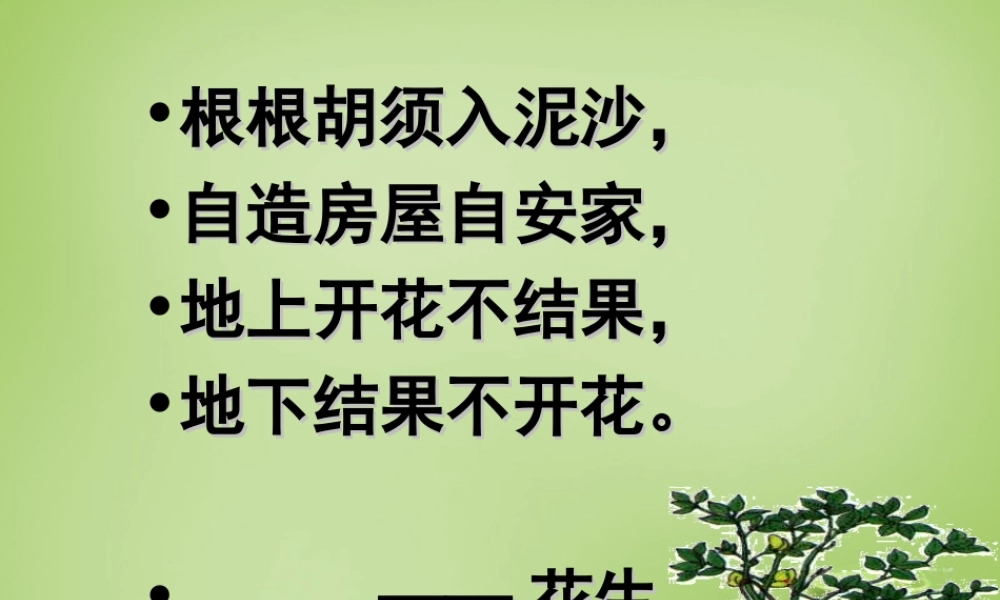 秋四年级语文上册《落花生》课件4 北师大版-北师大版小学四年级上册语文课件