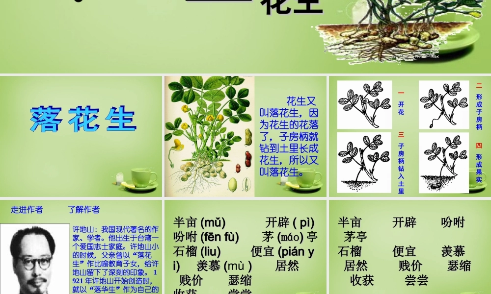 秋四年级语文上册《落花生》课件4 北师大版-北师大版小学四年级上册语文课件