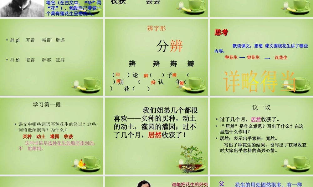 秋四年级语文上册《落花生》课件4 北师大版-北师大版小学四年级上册语文课件