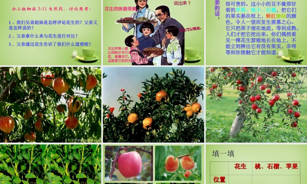 秋四年级语文上册《落花生》课件4 北师大版-北师大版小学四年级上册语文课件