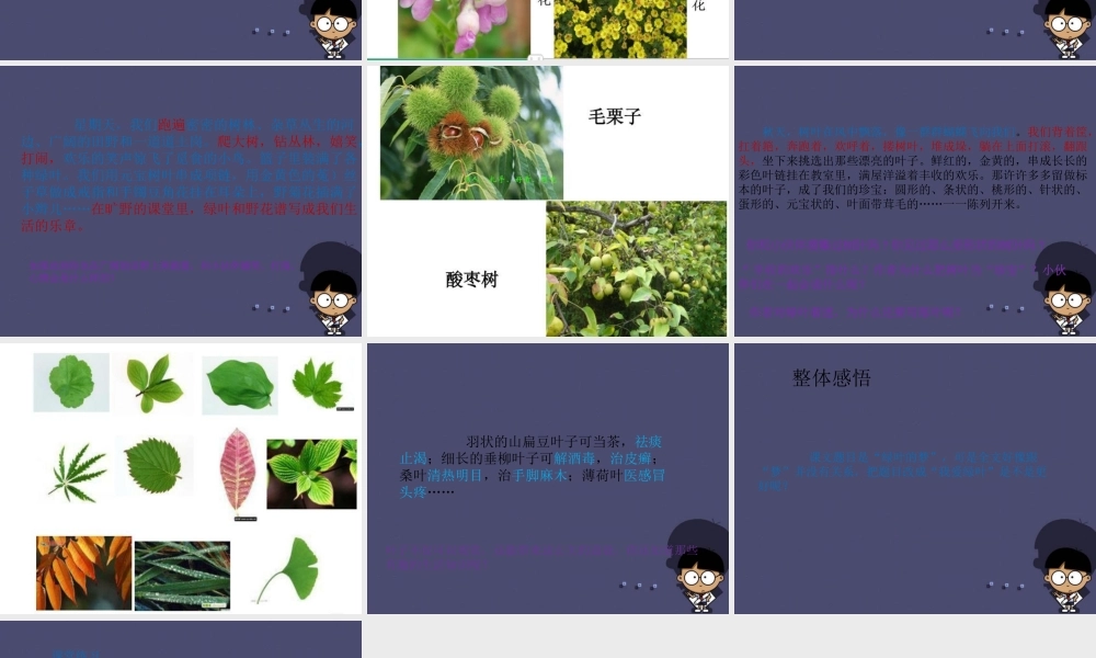 秋四年级语文上册《绿叶的梦》课件1 冀教版-冀教版小学四年级上册语文课件