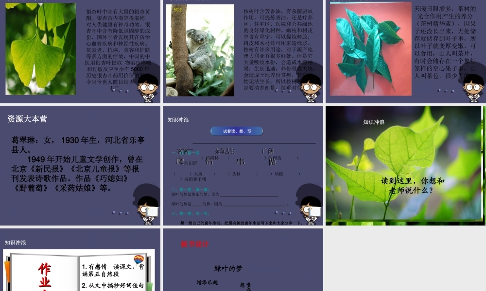 秋四年级语文上册《绿叶的梦》课件2 冀教版-冀教版小学四年级上册语文课件