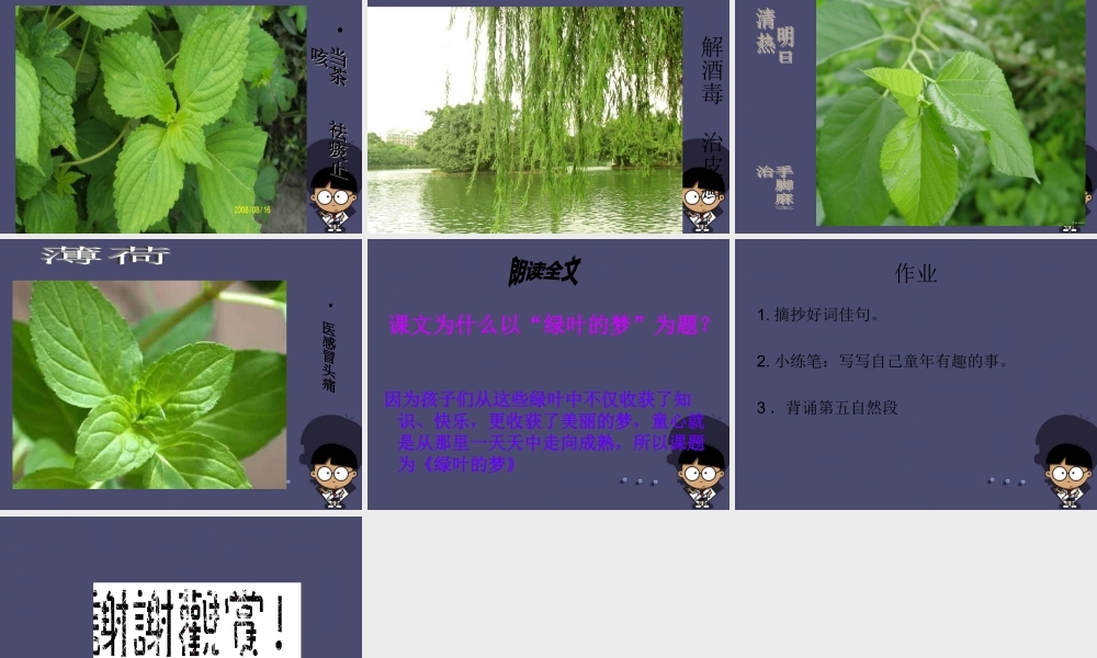 秋四年级语文上册《绿叶的梦》课件3 冀教版-冀教版小学四年级上册语文课件