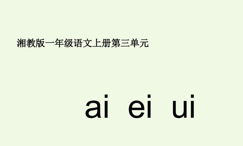 （秋季版）一年级语文上册 ai ei ui课件4 湘教版-湘教版小学一年级上册语文课件