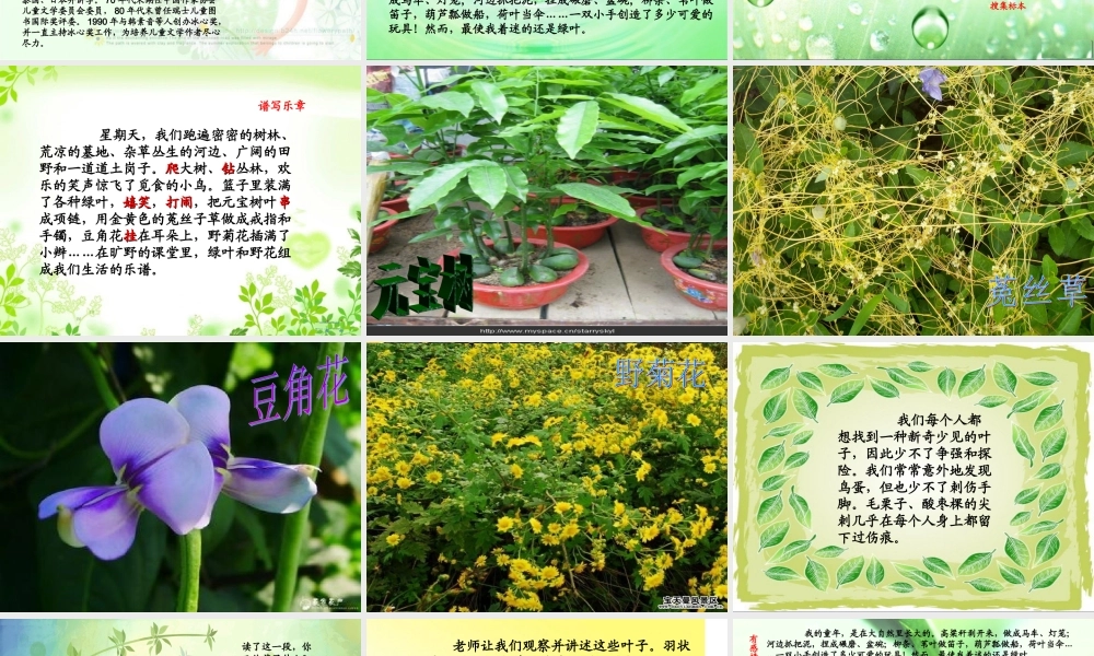 秋四年级语文上册《绿叶的梦》课件4 冀教版-冀教版小学四年级上册语文课件