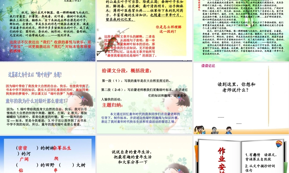 秋四年级语文上册《绿叶的梦》课件4 冀教版-冀教版小学四年级上册语文课件