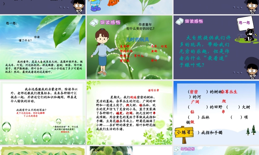 秋四年级语文上册《绿叶的梦》课件5 冀教版-冀教版小学四年级上册语文课件