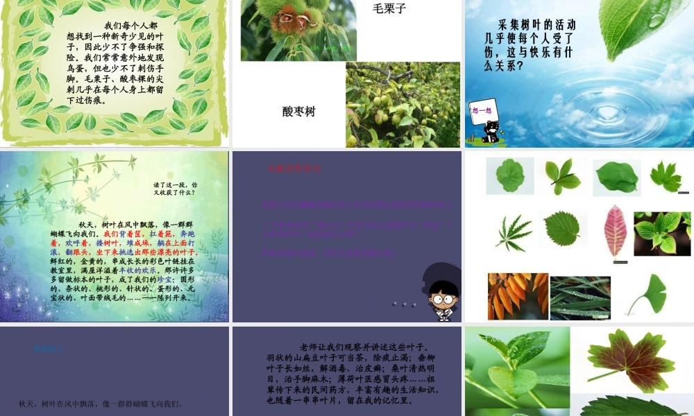 秋四年级语文上册《绿叶的梦》课件5 冀教版-冀教版小学四年级上册语文课件