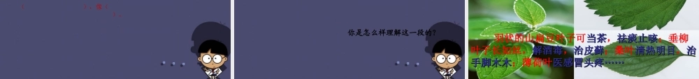 秋四年级语文上册《绿叶的梦》课件5 冀教版-冀教版小学四年级上册语文课件