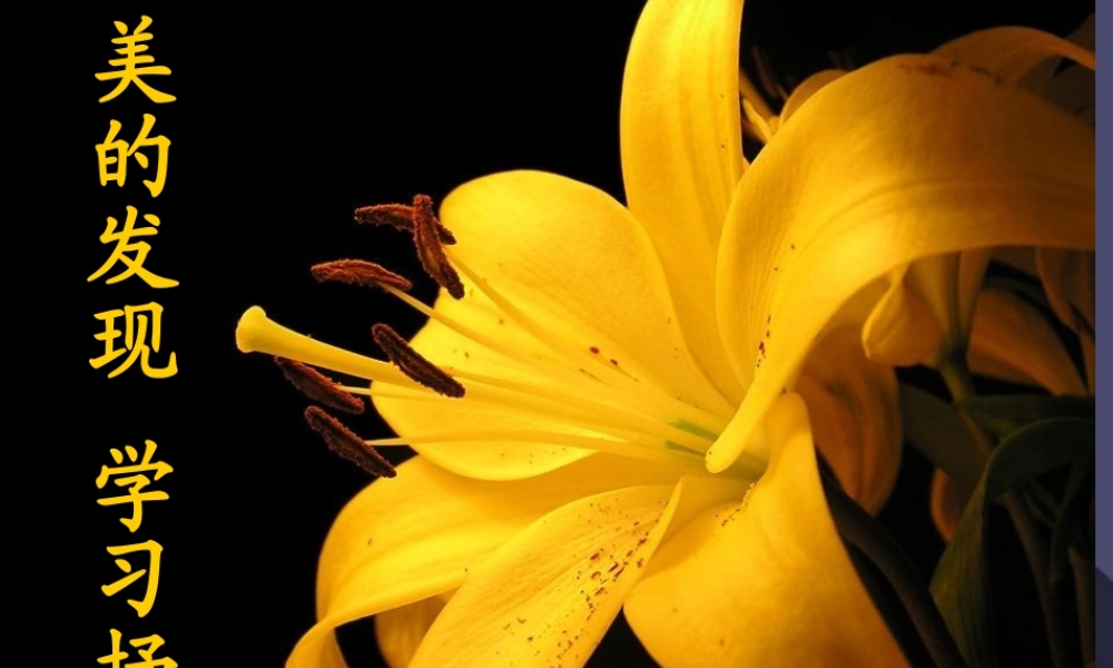 秋四年级语文上册《美的发现》课件 冀教版-冀教版小学四年级上册语文课件