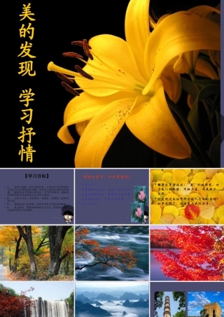 秋四年级语文上册《美的发现》课件 冀教版-冀教版小学四年级上册语文课件