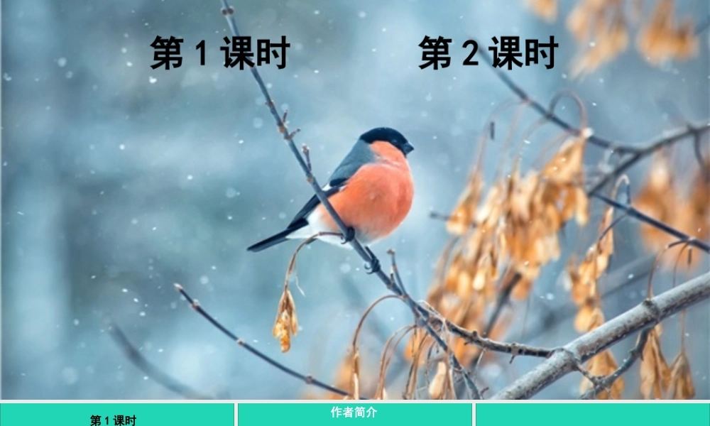 第八单元 26《灰雀》课件