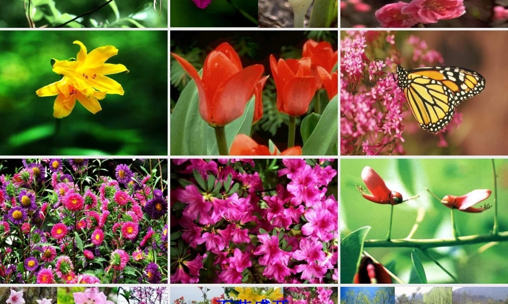 （秋季版）一年级语文下册 3.1 春天的手课件 北师大版-北师大版小学一年级下册语文课件