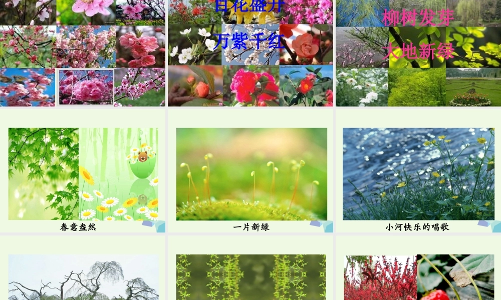 （秋季版）一年级语文下册 3.1 春天的手课件 北师大版-北师大版小学一年级下册语文课件