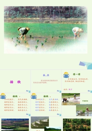 （秋季版）一年级语文下册 3.2 插秧课件 北师大版-北师大版小学一年级下册语文课件
