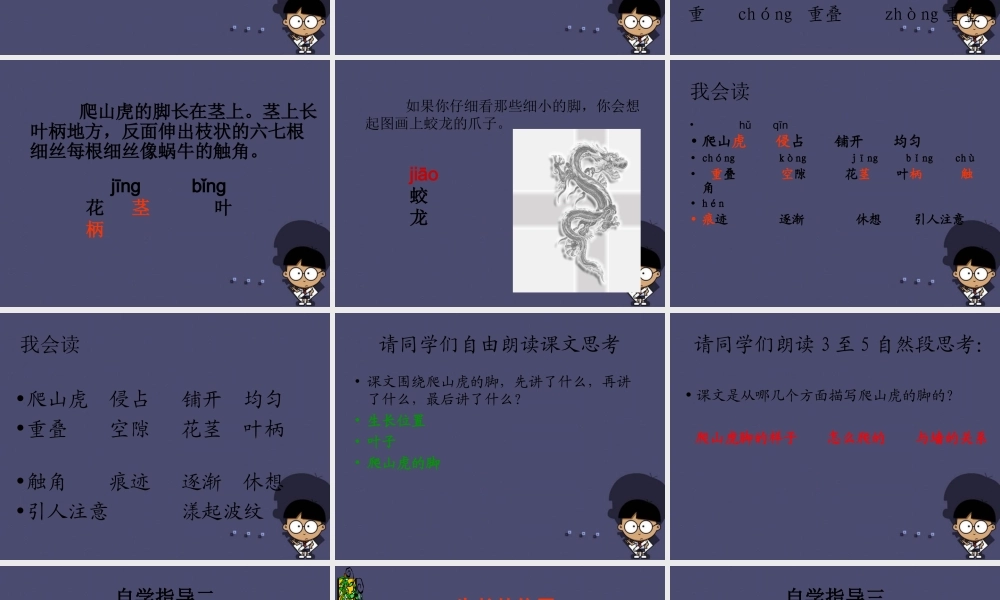 秋四年级语文上册《爬山虎的脚》课件3 冀教版-冀教版小学四年级上册语文课件