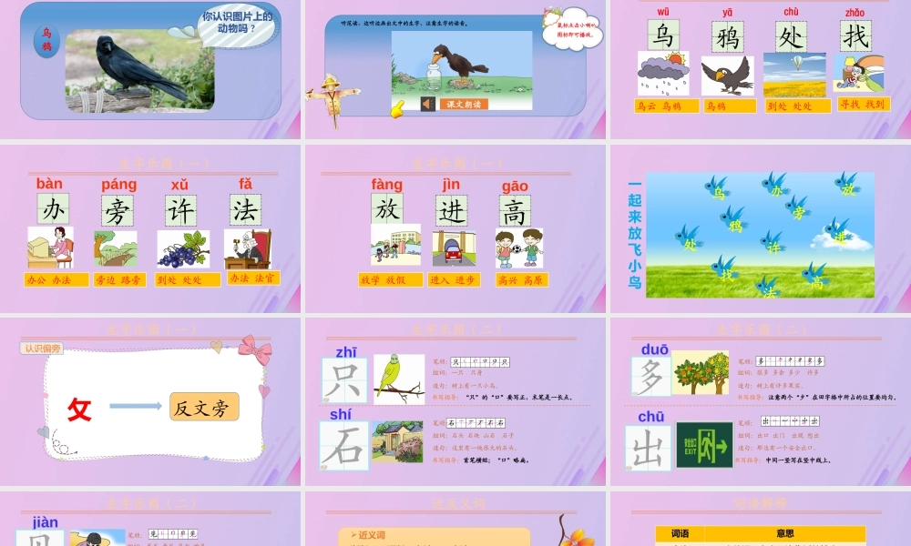 第八单元 课文4 13 乌鸦喝水