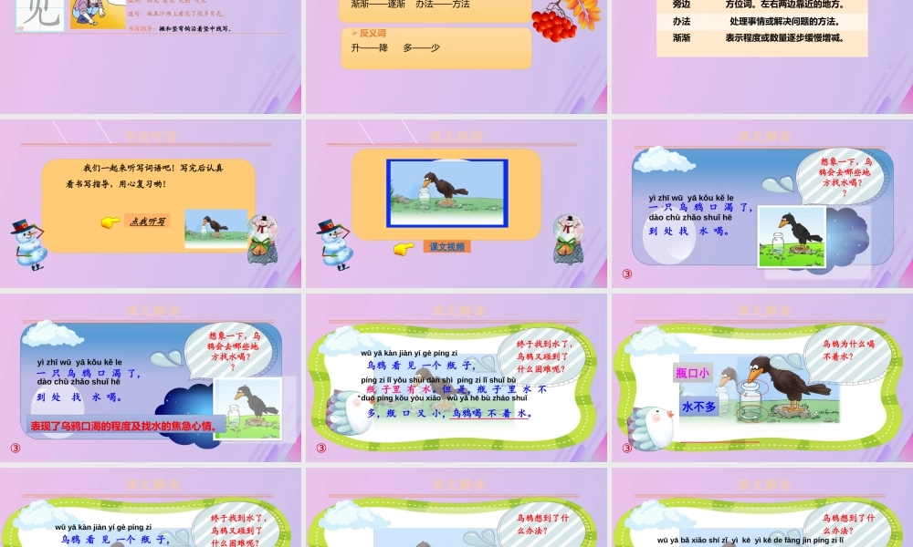 第八单元 课文4 13 乌鸦喝水