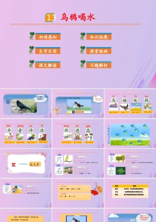 第八单元 课文4 13 乌鸦喝水