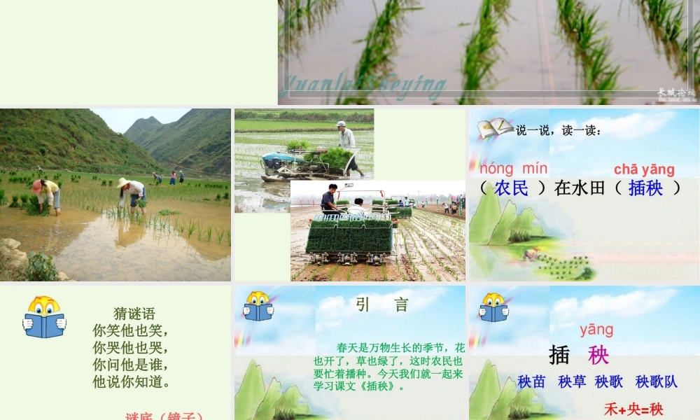 （秋季版）一年级语文下册 3.2 插秧课件2 北师大版-北师大版小学一年级下册语文课件