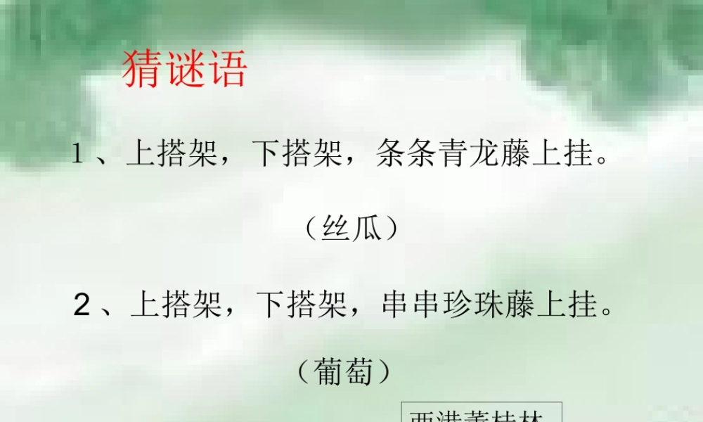 秋四年级语文上册《爬山虎的脚》课件4 冀教版-冀教版小学四年级上册语文课件