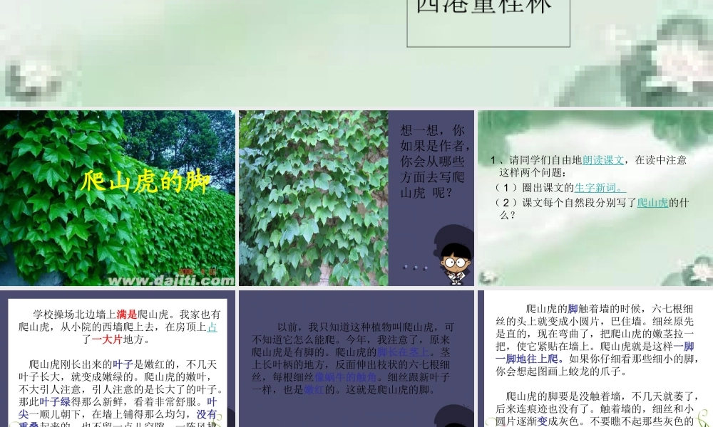 秋四年级语文上册《爬山虎的脚》课件4 冀教版-冀教版小学四年级上册语文课件