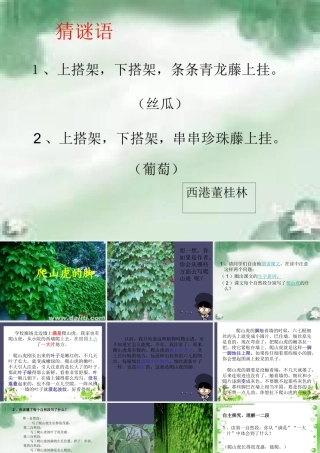 秋四年级语文上册《爬山虎的脚》课件4 冀教版-冀教版小学四年级上册语文课件