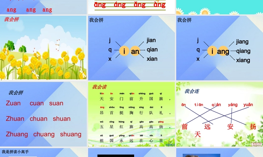（秋季版）一年级语文上册 ao ai an ang课件4 西师大版-西师大版小学一年级上册语文课件