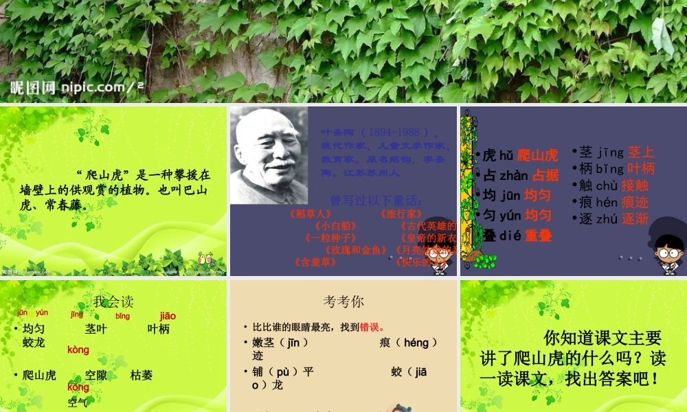秋四年级语文上册《爬山虎的脚》课件5 冀教版-冀教版小学四年级上册语文课件