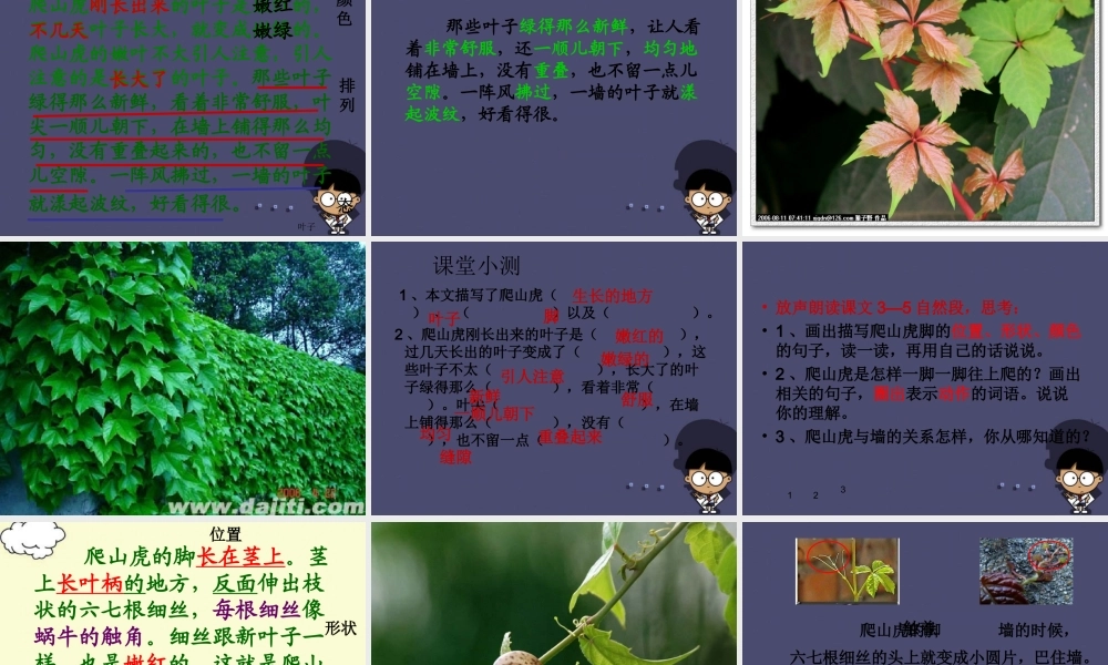 秋四年级语文上册《爬山虎的脚》课件5 冀教版-冀教版小学四年级上册语文课件