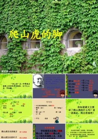 秋四年级语文上册《爬山虎的脚》课件5 冀教版-冀教版小学四年级上册语文课件