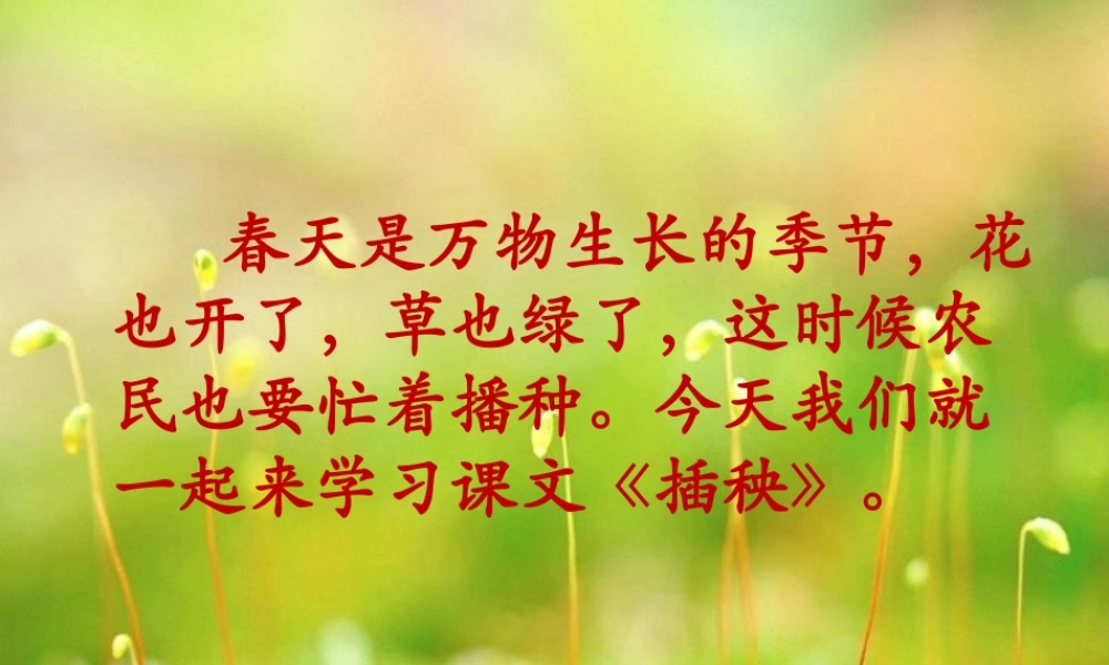 （秋季版）一年级语文下册 3.2 插秧课件3 北师大版-北师大版小学一年级下册语文课件