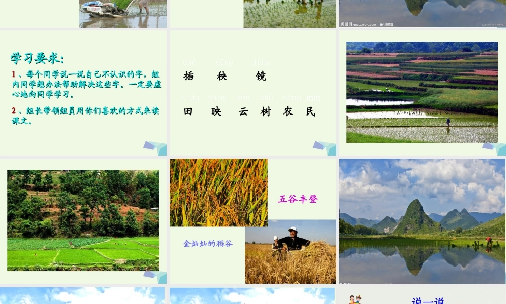 （秋季版）一年级语文下册 3.2 插秧课件3 北师大版-北师大版小学一年级下册语文课件