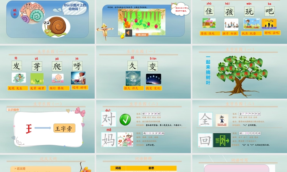 第八单元 课文4 14 小蜗牛