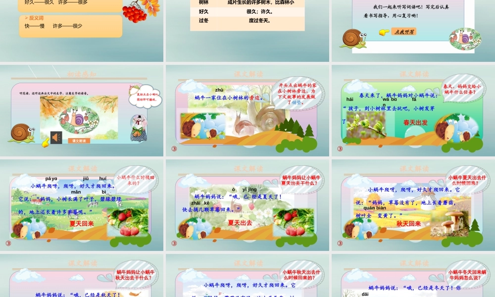 第八单元 课文4 14 小蜗牛