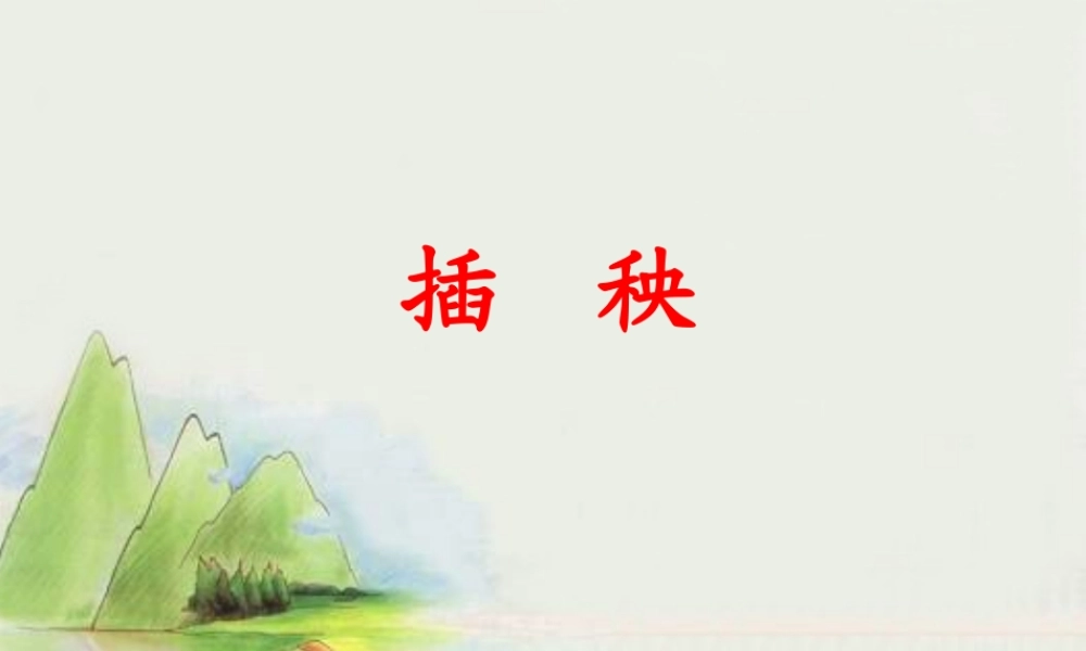 （秋季版）一年级语文下册 3.2 插秧课件4 北师大版-北师大版小学一年级下册语文课件