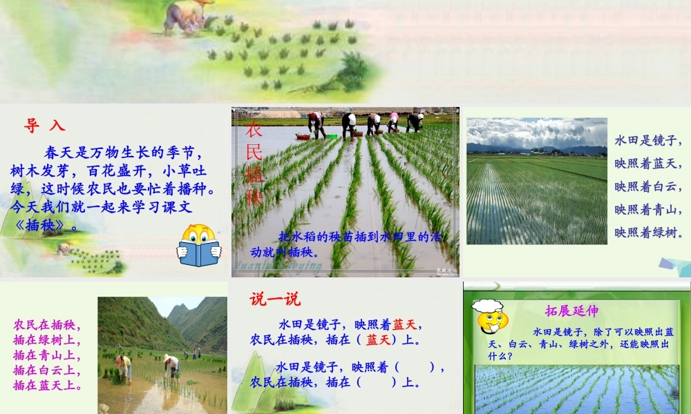 （秋季版）一年级语文下册 3.2 插秧课件4 北师大版-北师大版小学一年级下册语文课件
