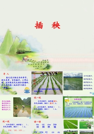 （秋季版）一年级语文下册 3.2 插秧课件4 北师大版-北师大版小学一年级下册语文课件