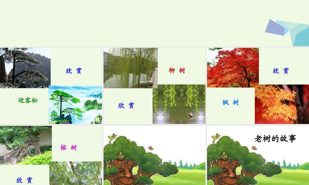 （秋季版）一年级语文下册 4.1 老树的故事课件 北师大版-北师大版小学一年级下册语文课件