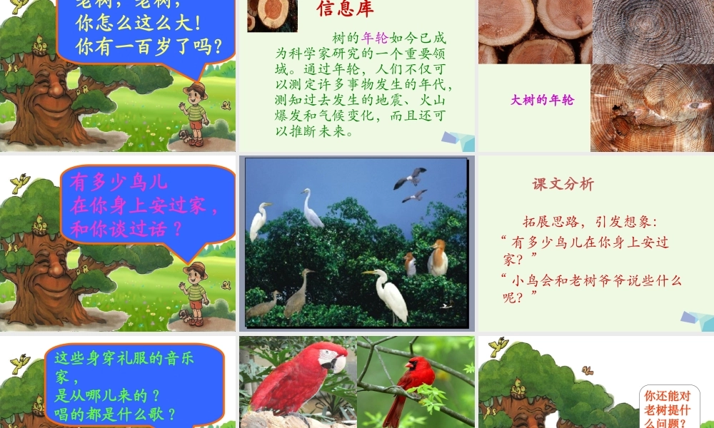 （秋季版）一年级语文下册 4.1 老树的故事课件 北师大版-北师大版小学一年级下册语文课件