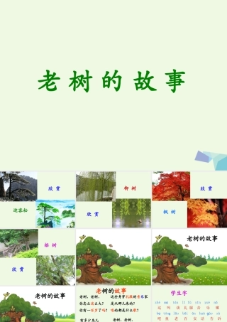 （秋季版）一年级语文下册 4.1 老树的故事课件 北师大版-北师大版小学一年级下册语文课件