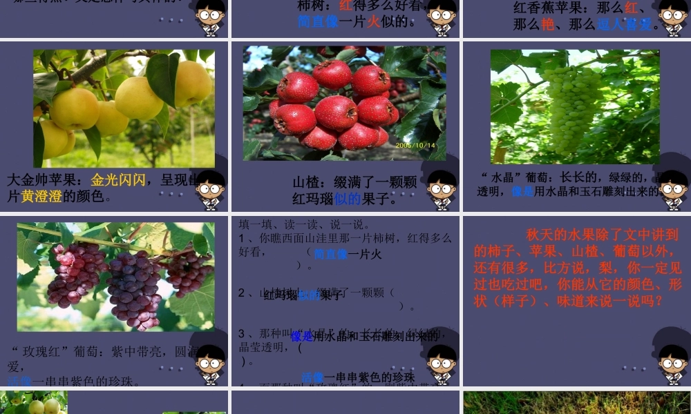 秋四年级语文上册《秋色》课件 冀教版-冀教版小学四年级上册语文课件