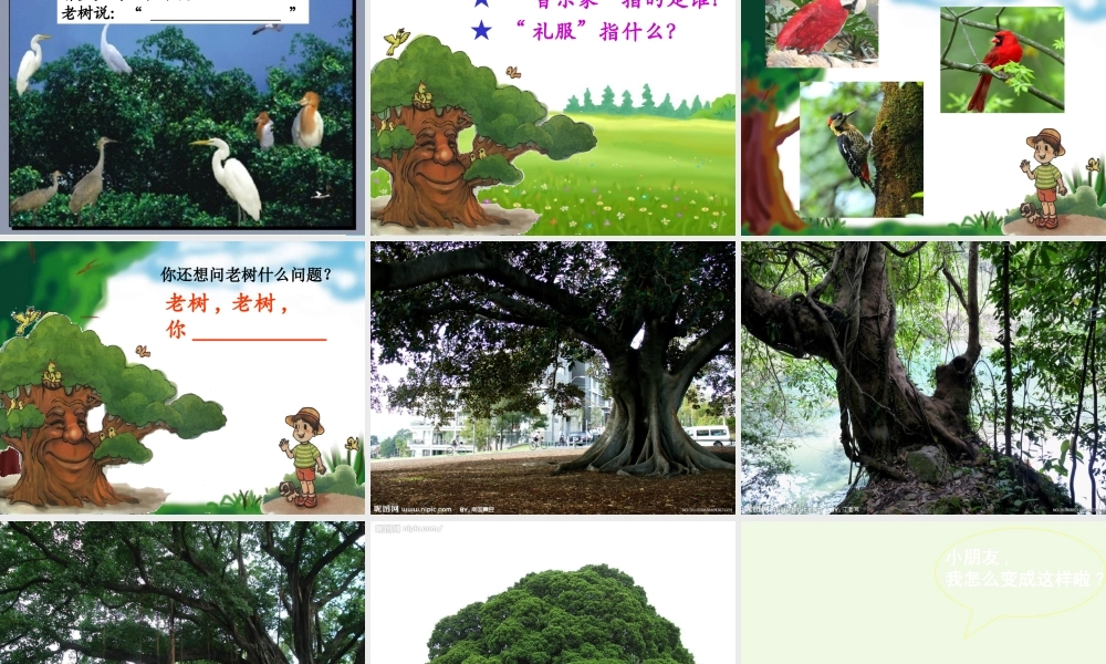 （秋季版）一年级语文下册 4.1 老树的故事课件3 北师大版-北师大版小学一年级下册语文课件