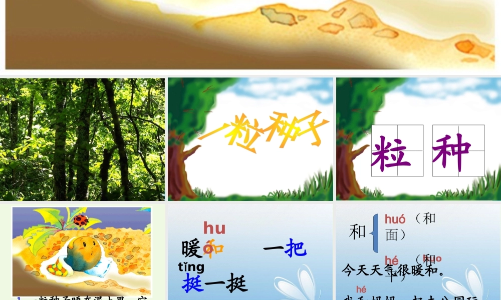 （秋季版）一年级语文下册 4.2 一粒种子课件 北师大版-北师大版小学一年级下册语文课件