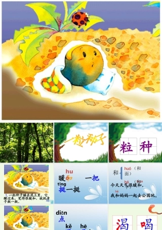 （秋季版）一年级语文下册 4.2 一粒种子课件 北师大版-北师大版小学一年级下册语文课件