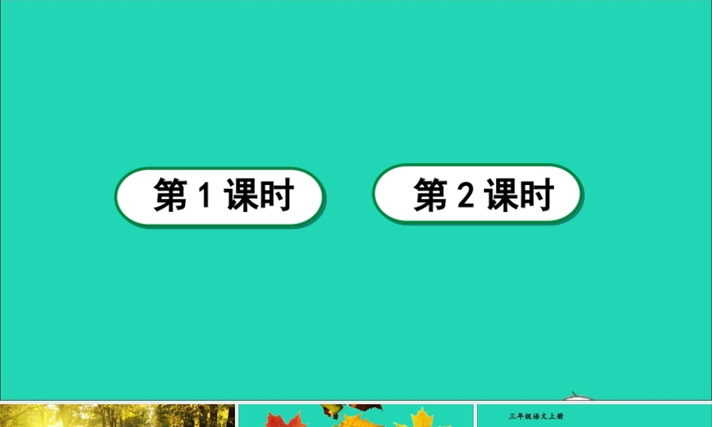 第二单元 5《铺满金色巴掌的水泥道》课件