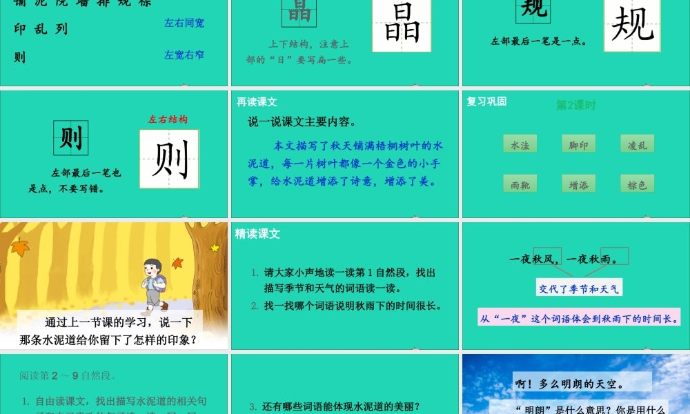 第二单元 5《铺满金色巴掌的水泥道》课件