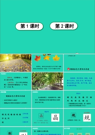 第二单元 5《铺满金色巴掌的水泥道》课件