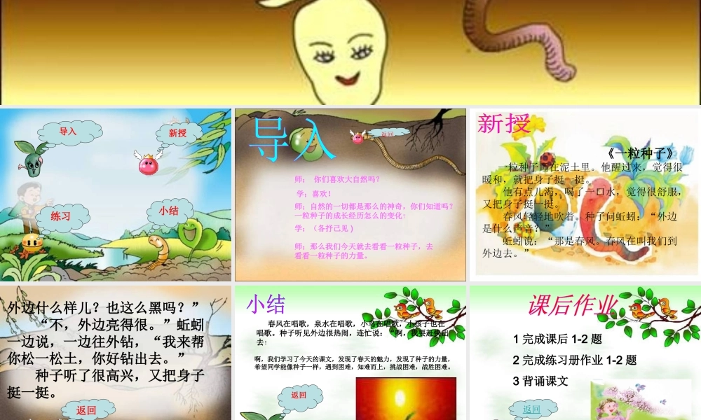 （秋季版）一年级语文下册 4.2 一粒种子课件2 北师大版-北师大版小学一年级下册语文课件