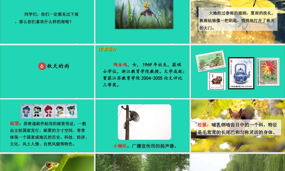 第二单元 6《秋天的雨》课件